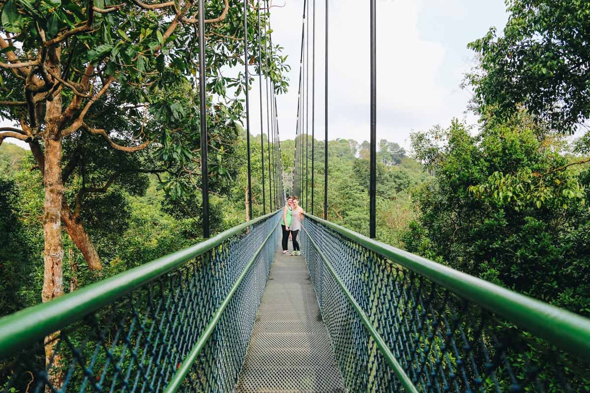 Macritchie Reservoir Park Treetop Walk