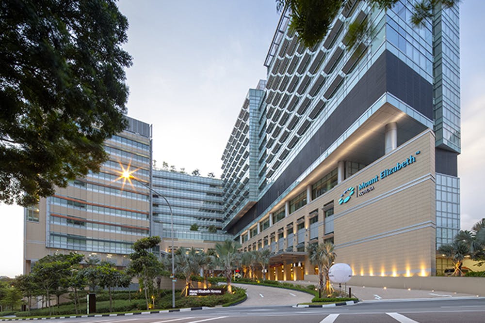 Mount Elizabeth Hospital