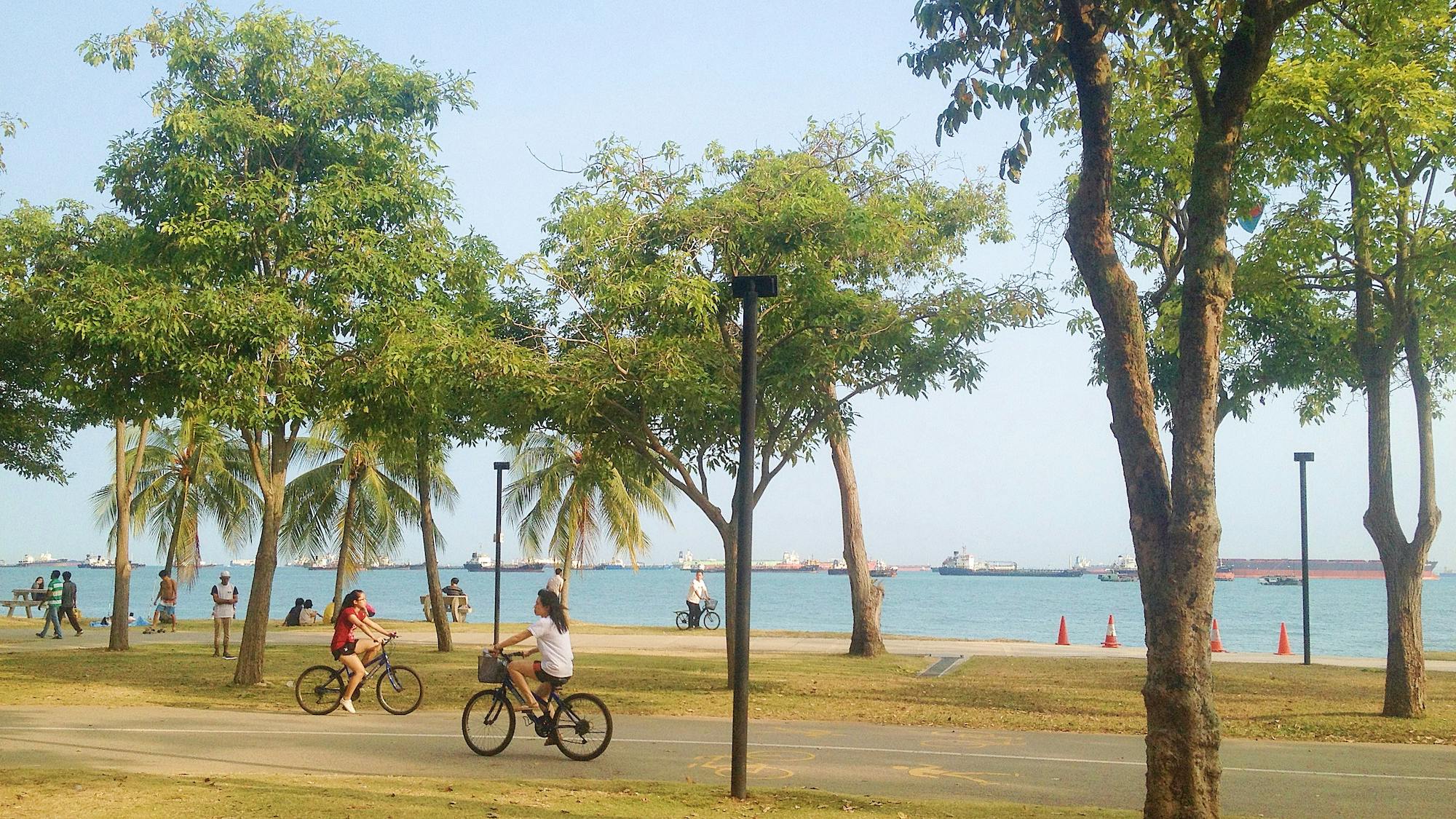 East Coast Park cyclists
