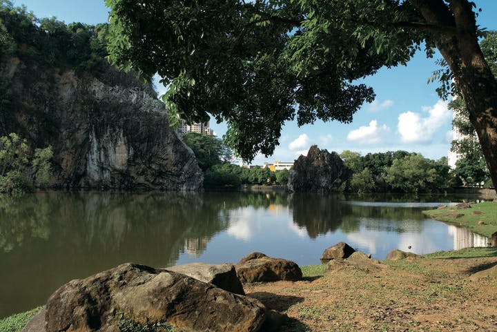 Bukit Batok Town Park