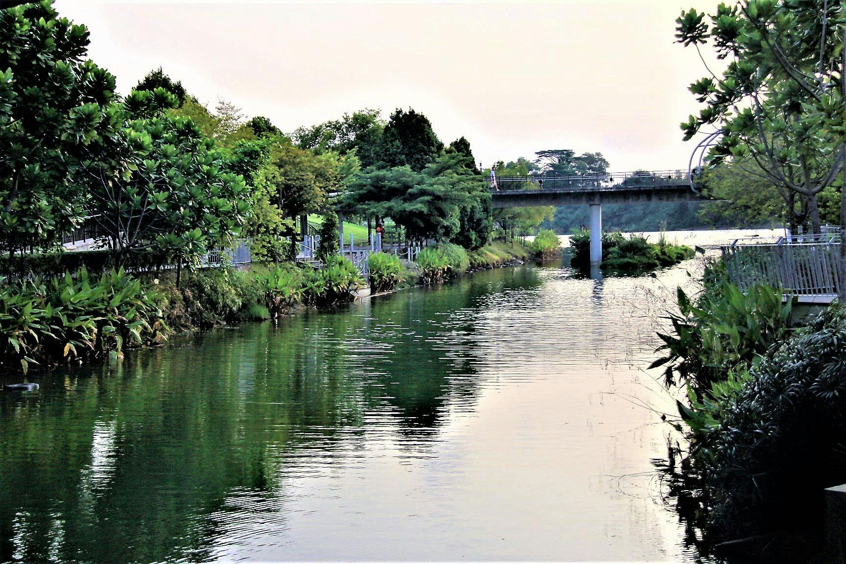 Punggol Serangoon Reservoir