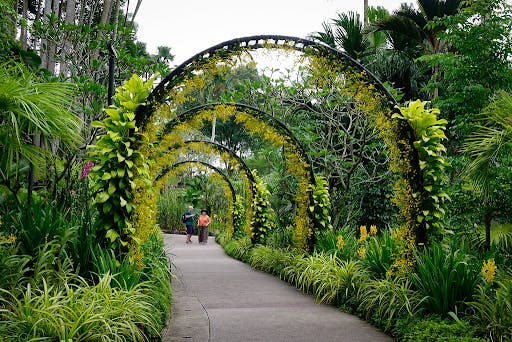 the Singapore Botanic Gardens, a short drive from Jervois Mansion
