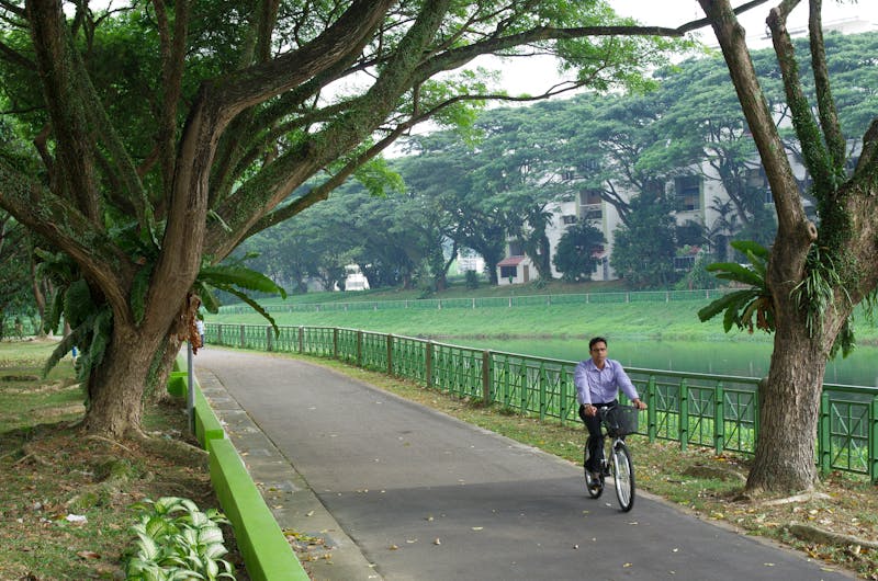 Cycling through Kallang Park Connector