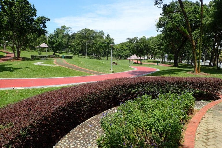 Red and green landscaped bushes at Clementi Woods Park