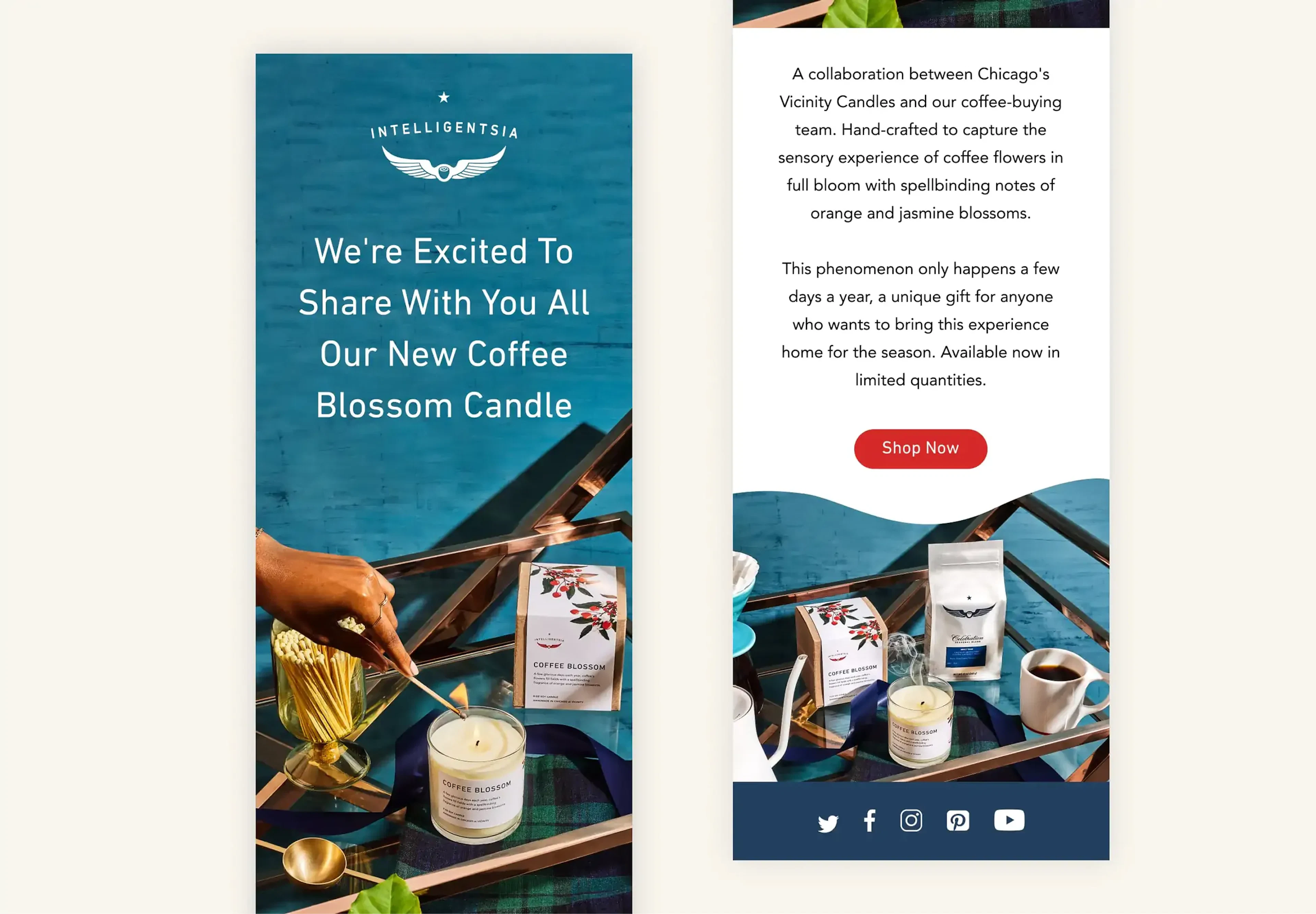 Two Intelligentsia email mockups announcing the Coffee Blossom candle