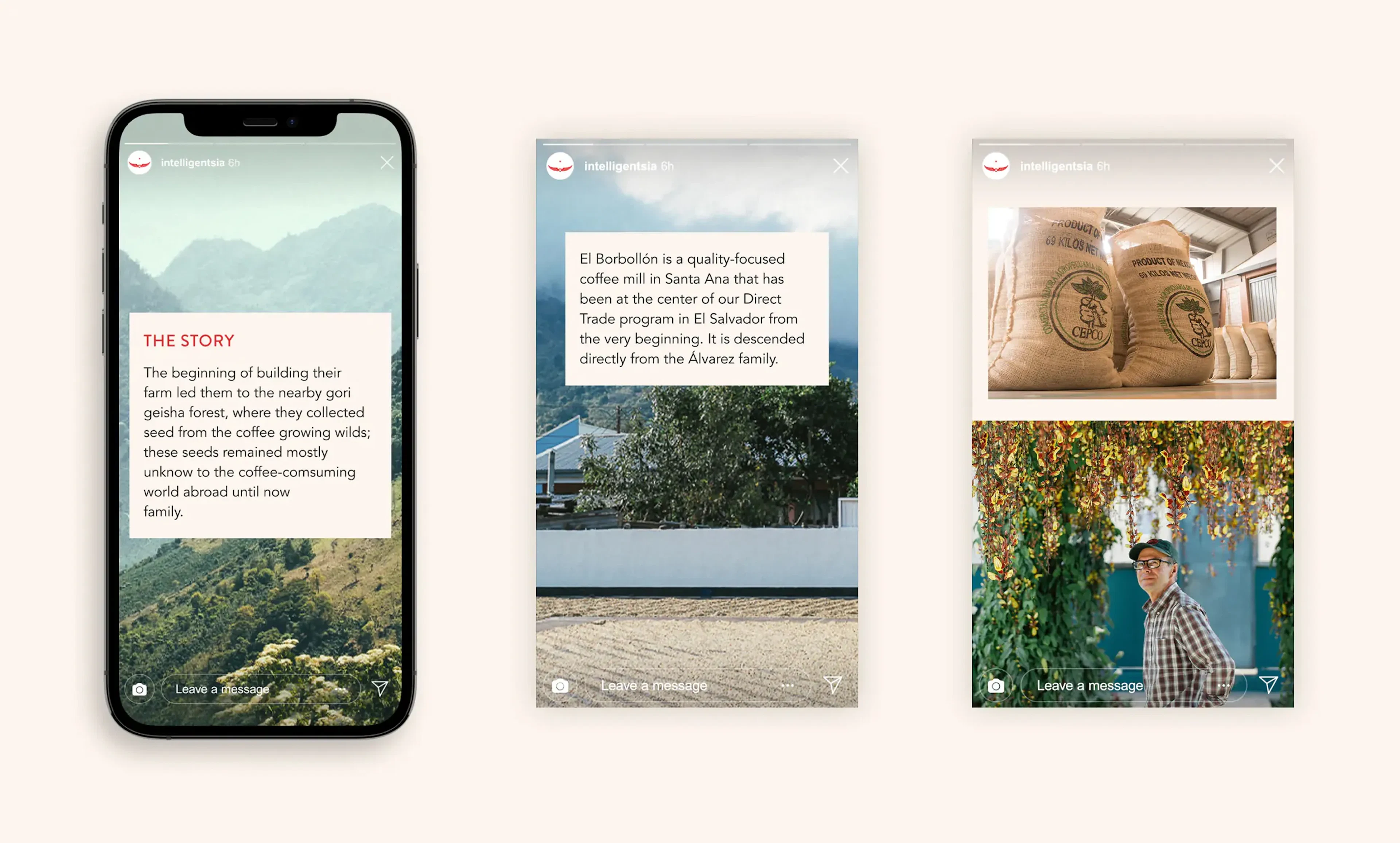 Phone mockup of a mountain landscape story beside two Instagram posts about a coffee mill and farm