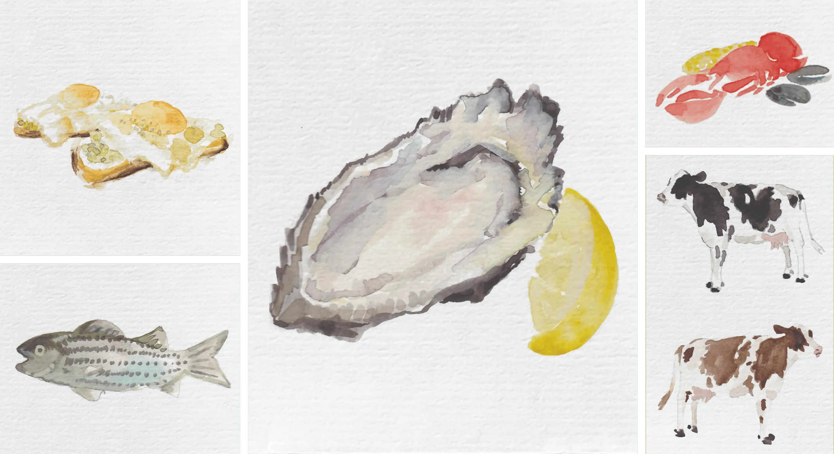Grid of watercolor illustrations: tartine, oyster with lemon, fish, lobster, and cows