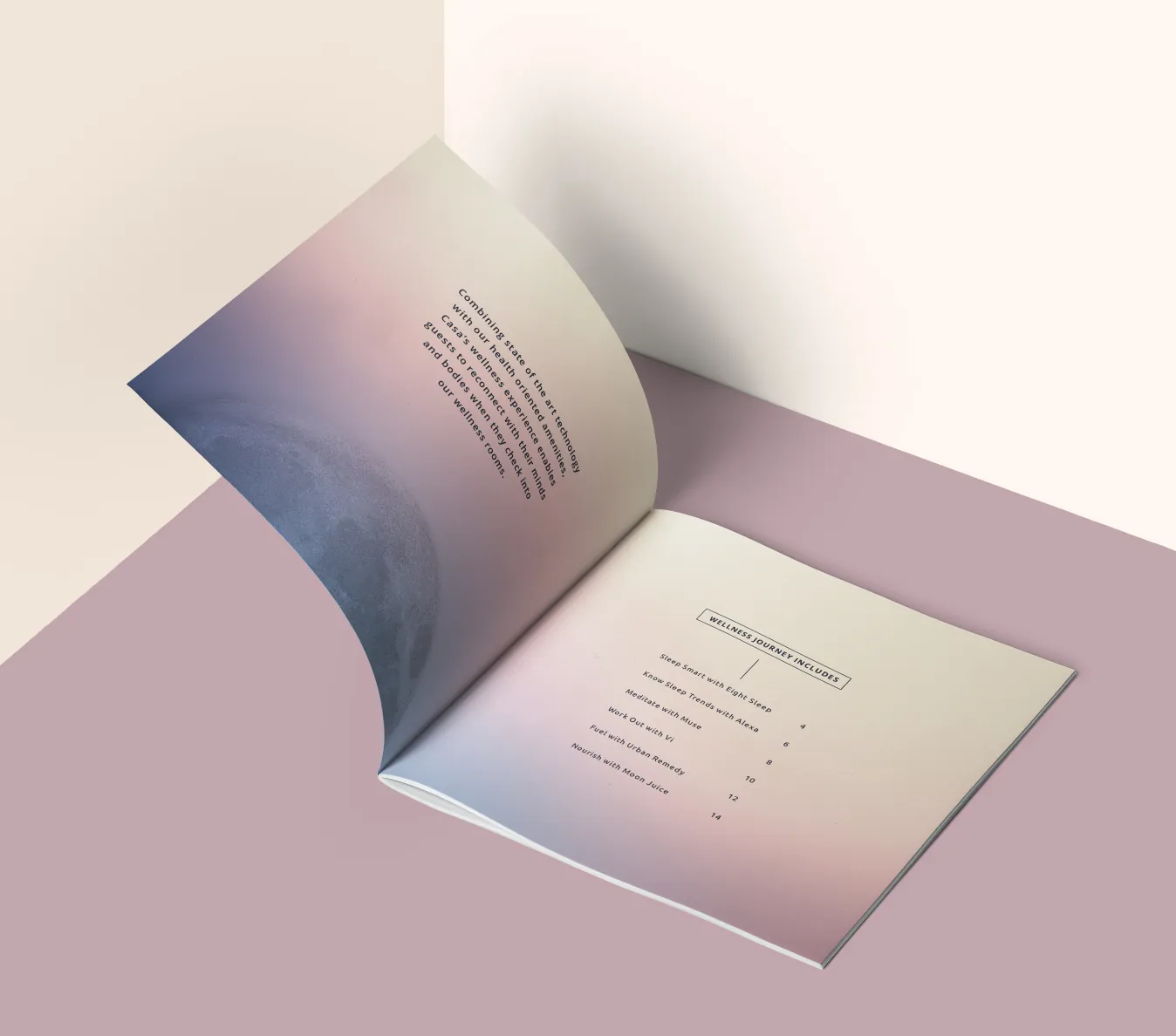 Open booklet with gradient cover and text page on a pink surface