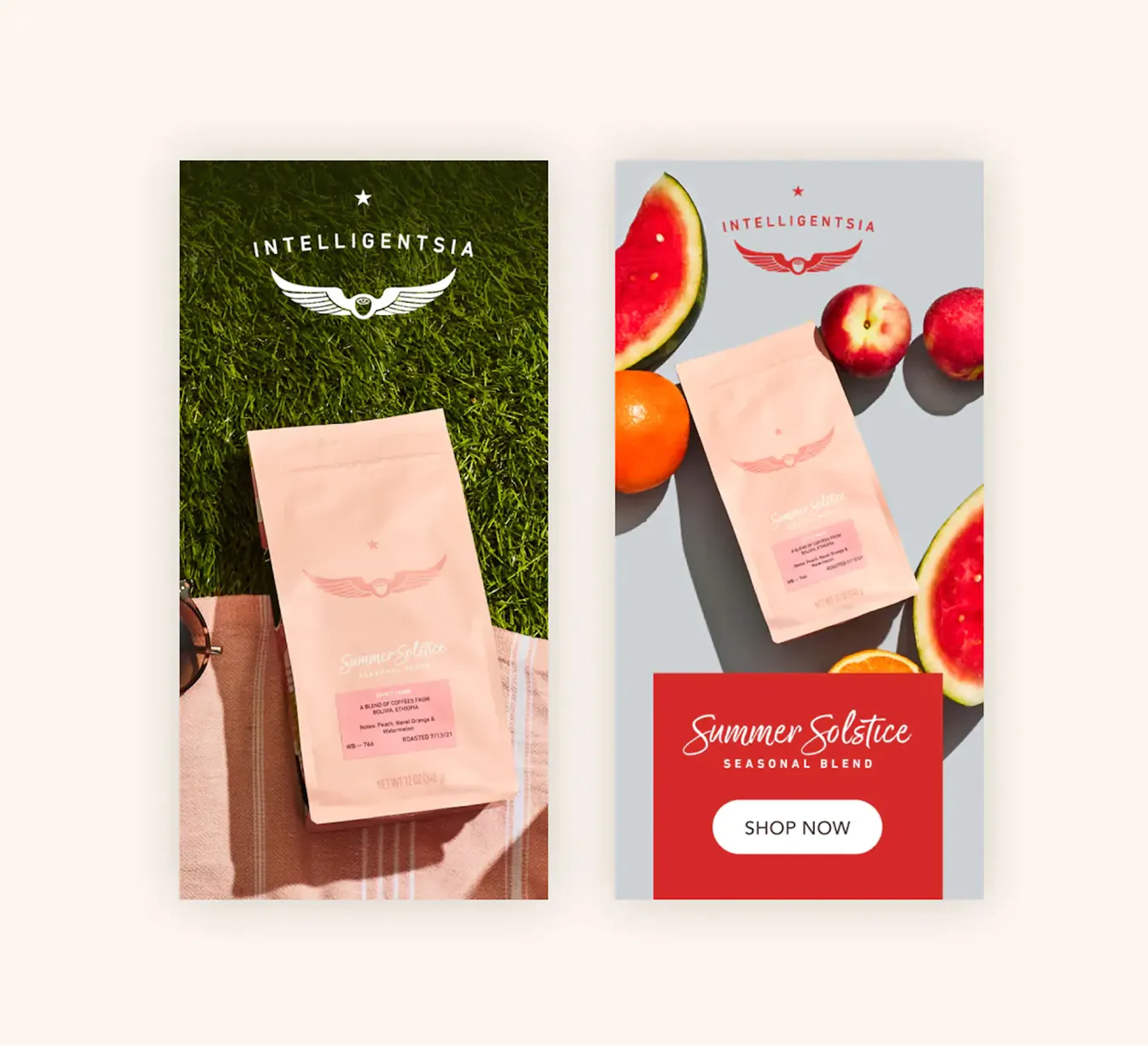 Pink Intelligentsia coffee bag on grass beside the same bag styled with watermelon and citrus