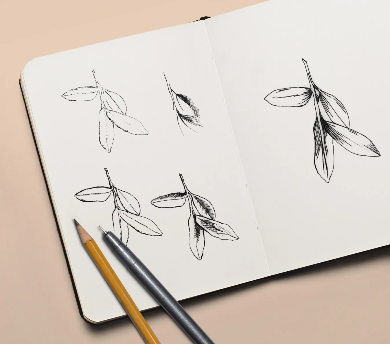 Sketchbook of hand-drawn olive branch sketches with two pencils