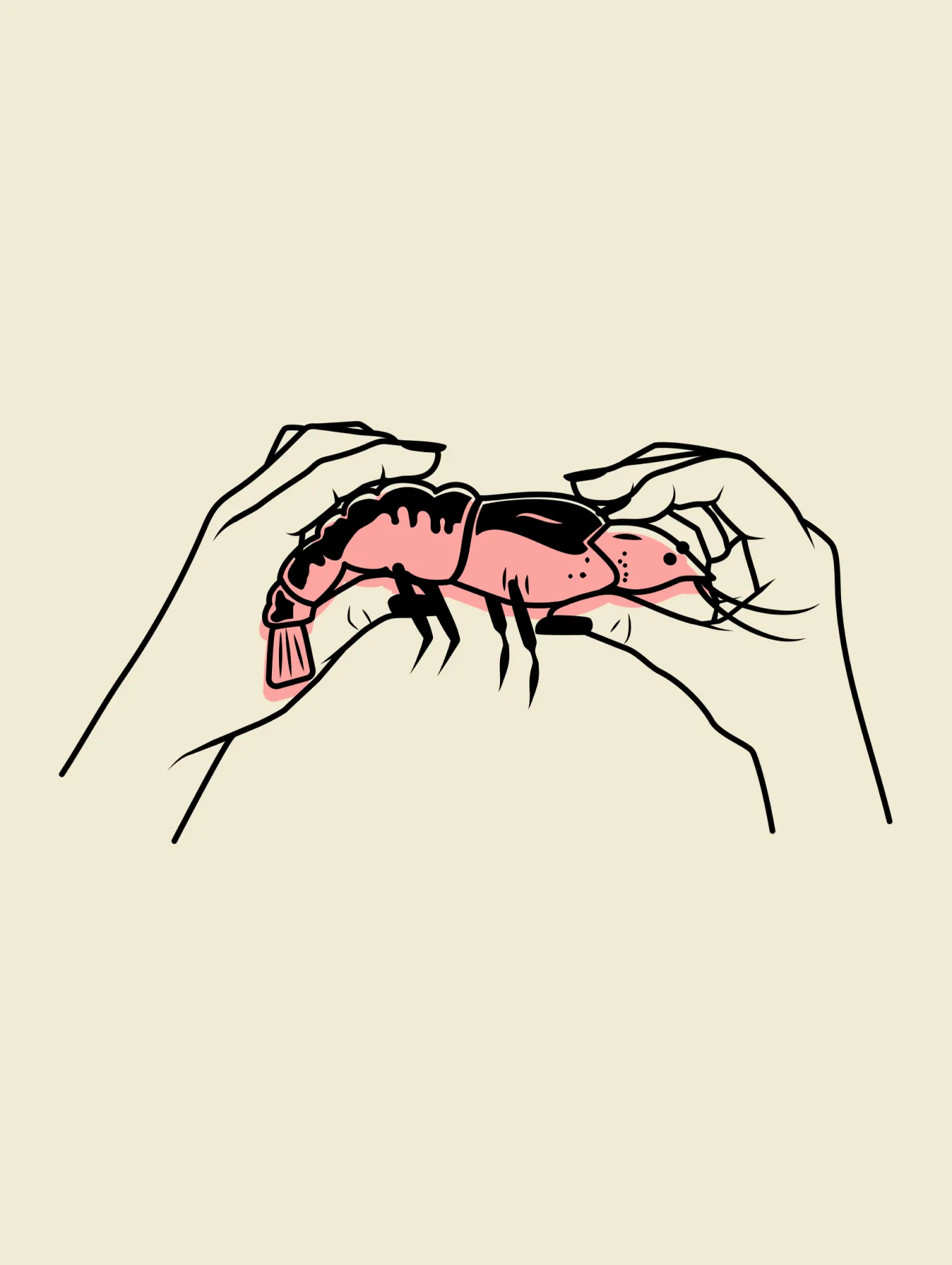 Illustration of hands holding a crawfish