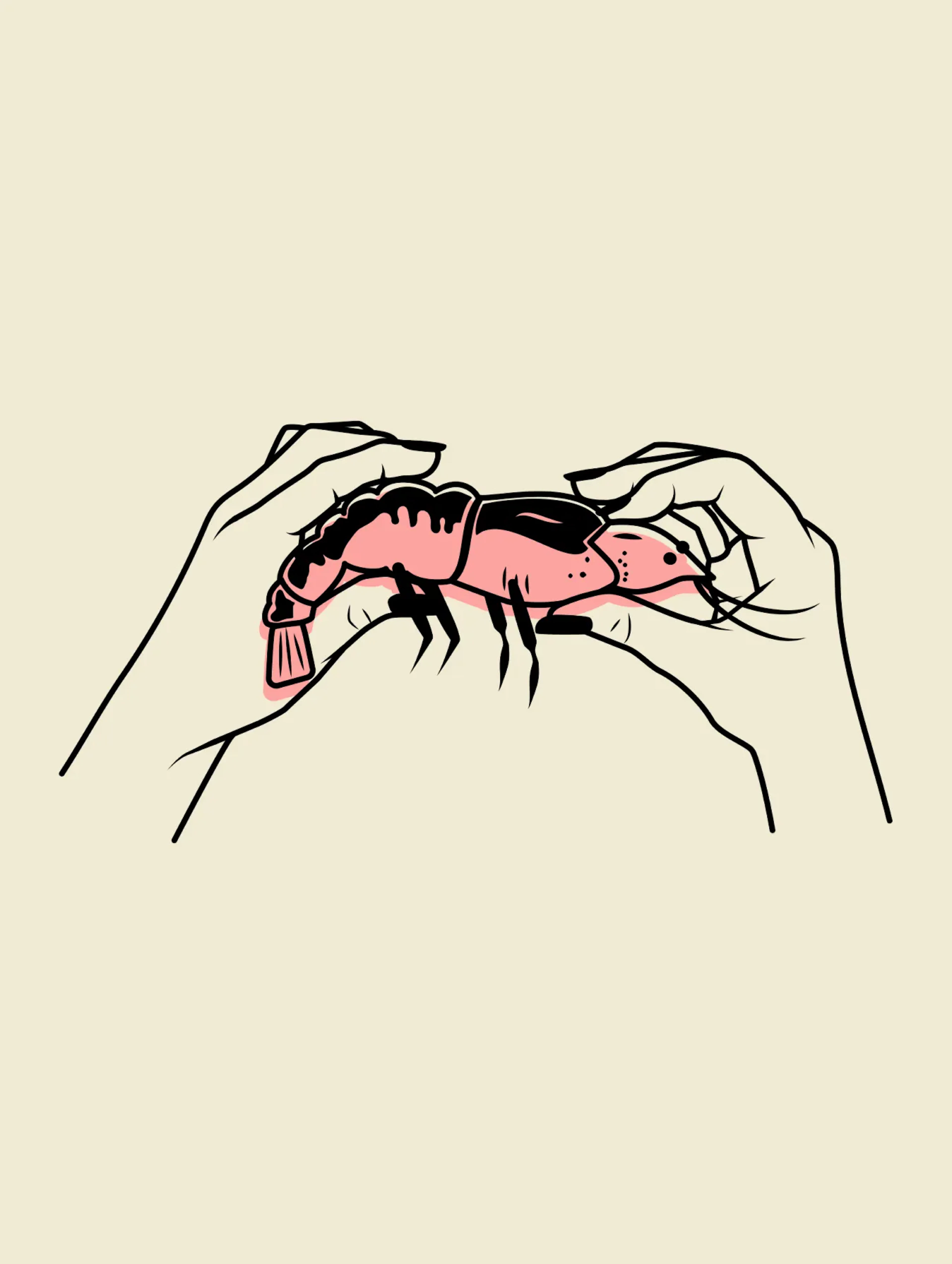 Illustration of hands holding a crawfish