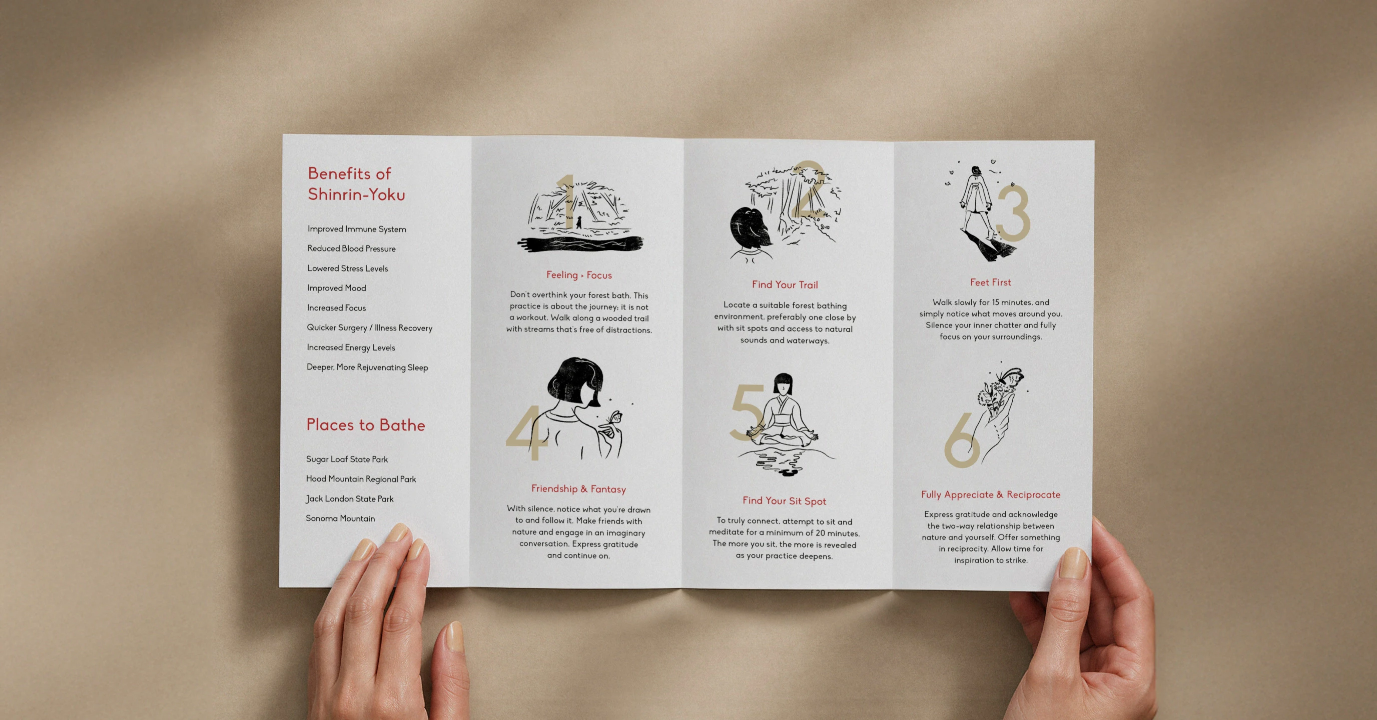 Folded brochure on shinrin-yoku benefits held open by two hands
