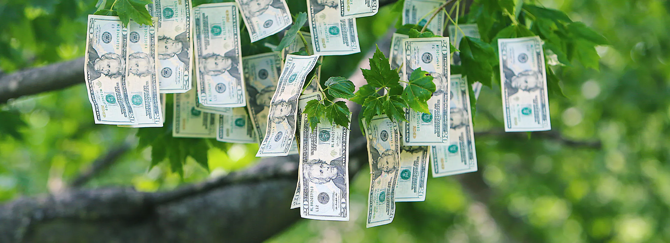 Winding Up — Oh there ain’t no rest for the distressed, money don’t grow on trees — 9fin.com