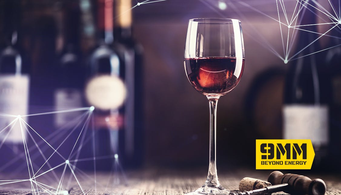 Negative Effects of Mixing of Energy Drinks and Alcohol 9MM