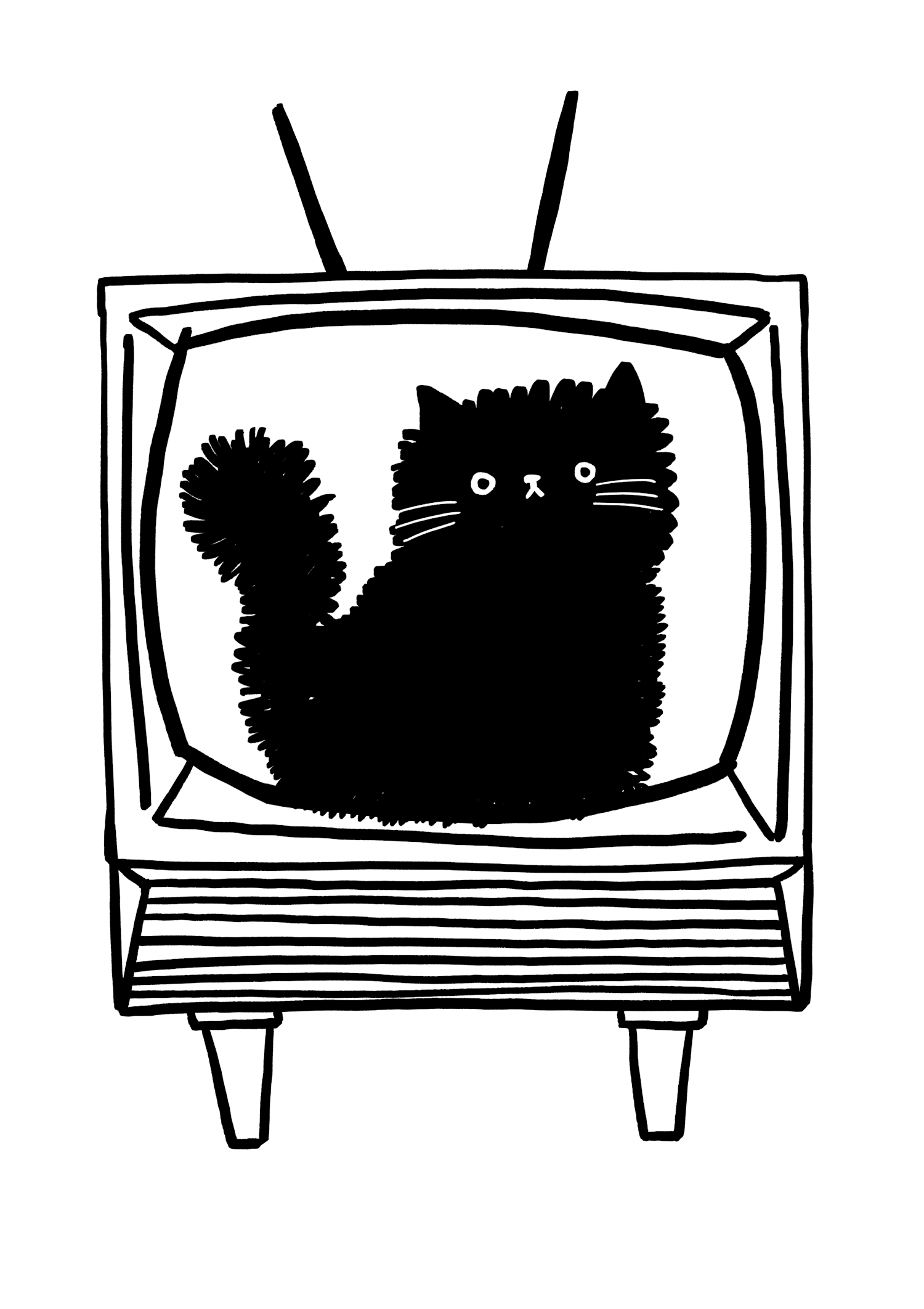 Services | A-list Animals