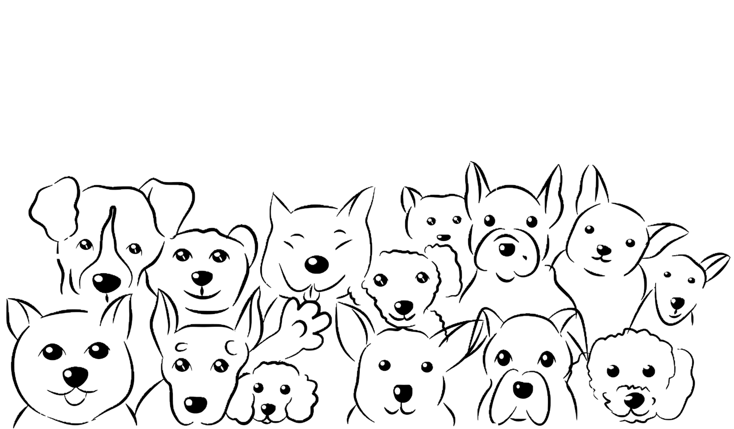 FAQ | Animal Modelling Agency | A-list Animals