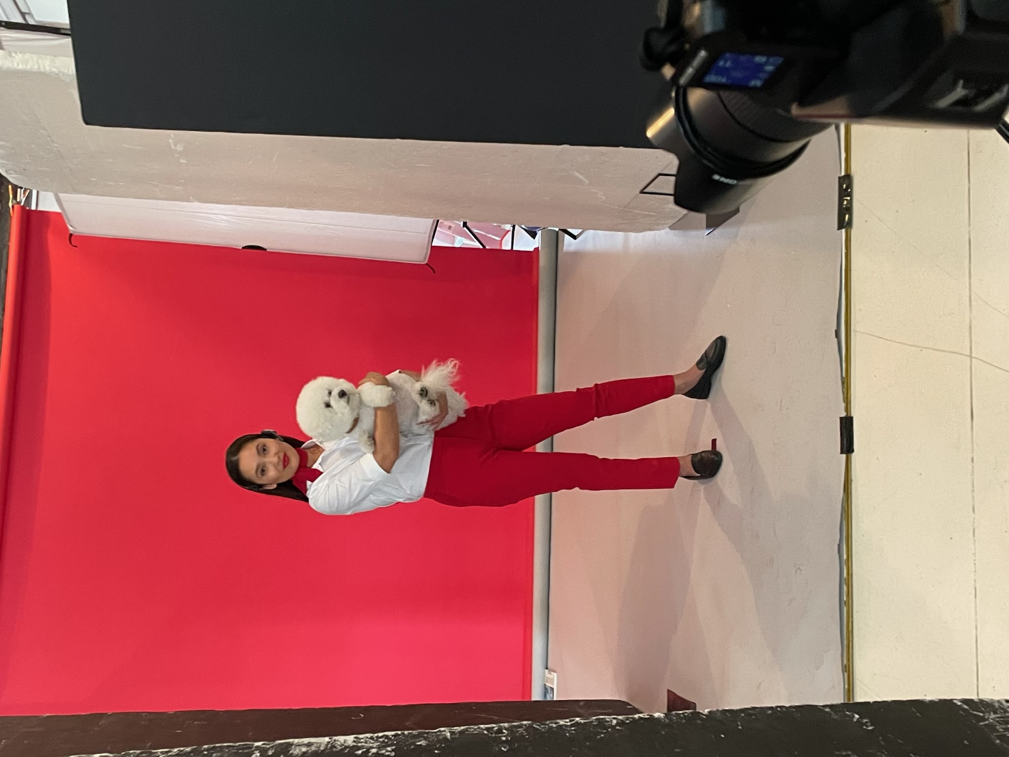 Pet Models Australia Animal Modelling Agency Alist Animals