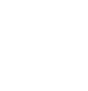 indómito logo