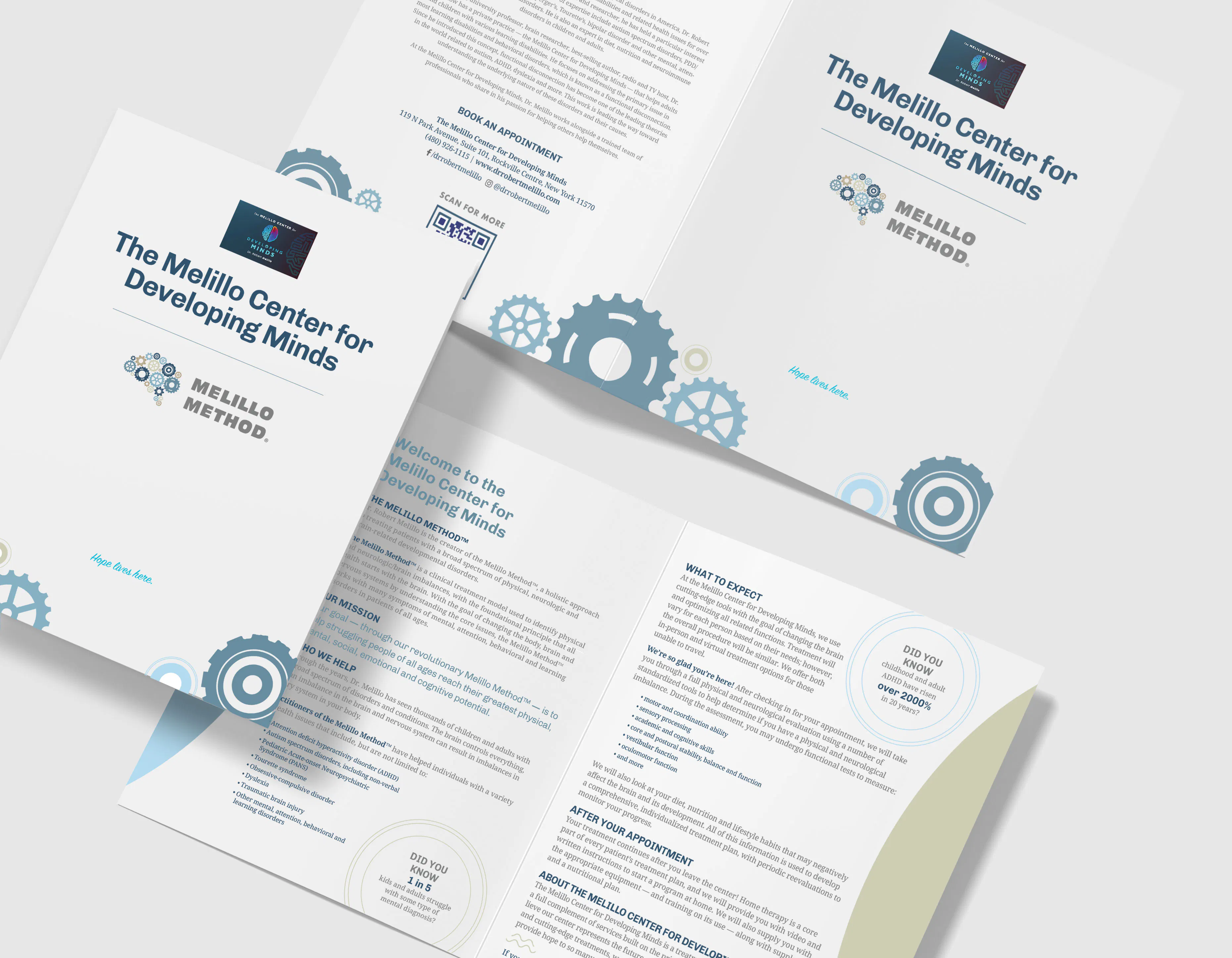 Dr. Robert Melillo Folder Design