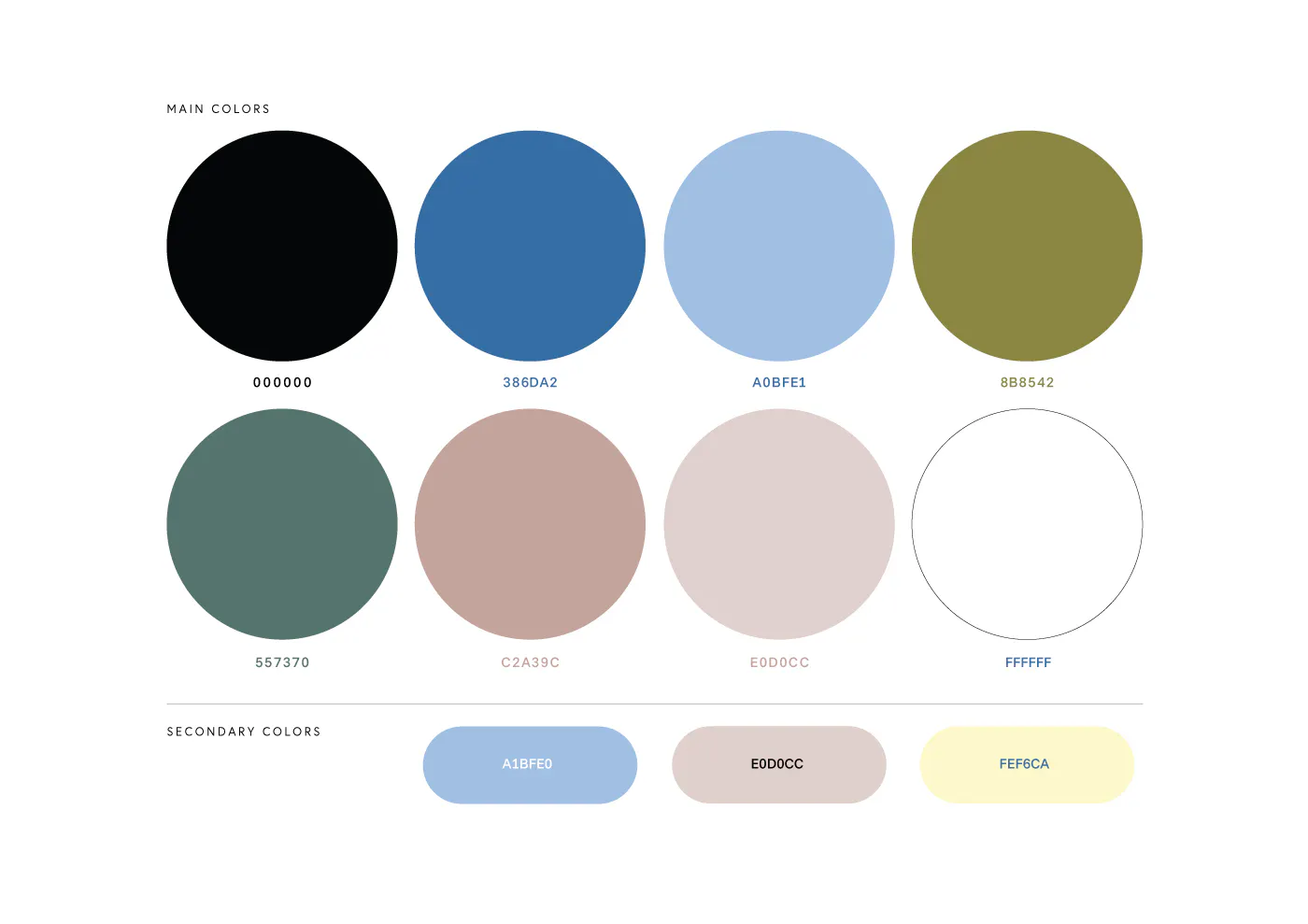 Holme Wellness Color Palette