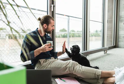 sustainable energy bills, and your pet thanks you too sustainable energy bills, and your pet thanks you too