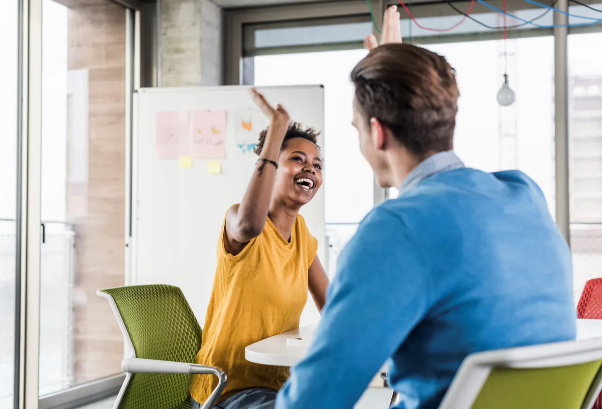 program development and management