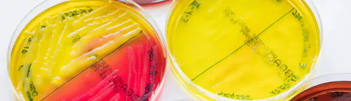 axa partners axa partners