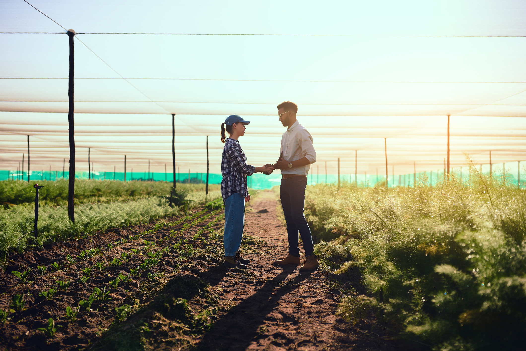 Our Values and Commitments | AXA Partners