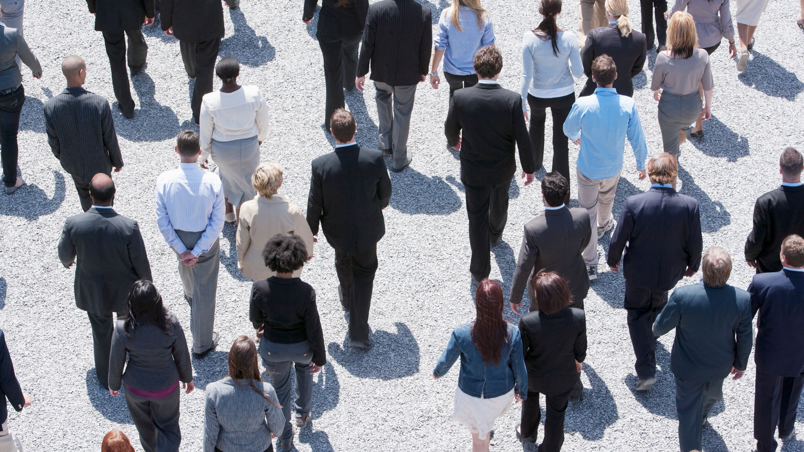 jef van in est nommé directeur général d’axa partners