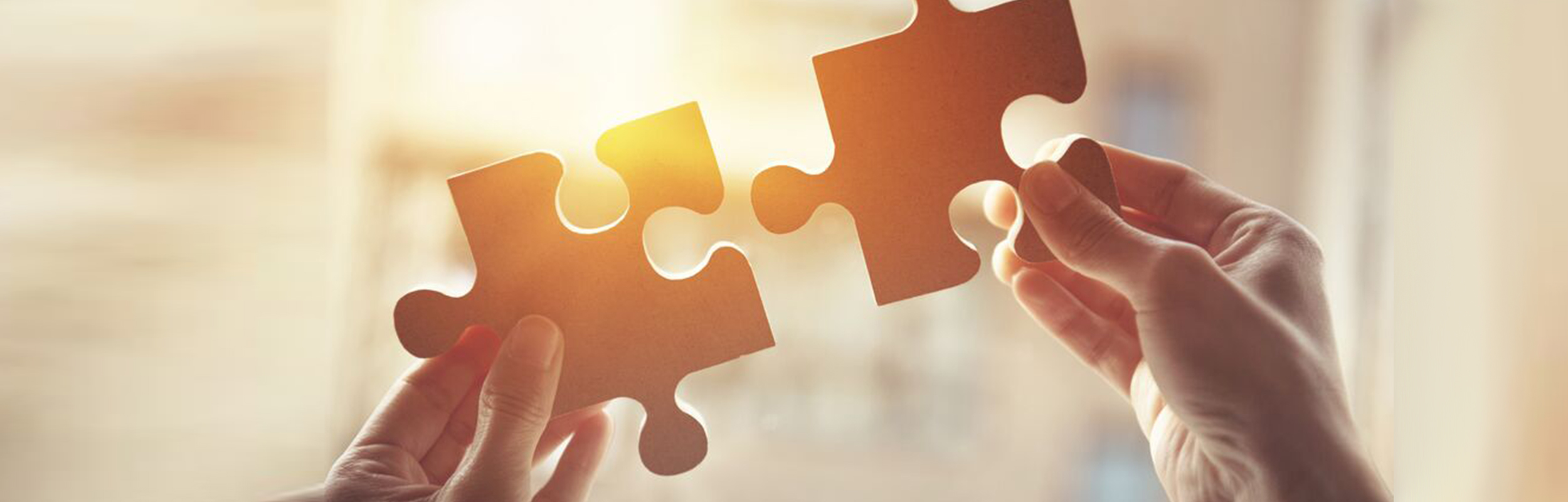 helping you grasp new opportunities