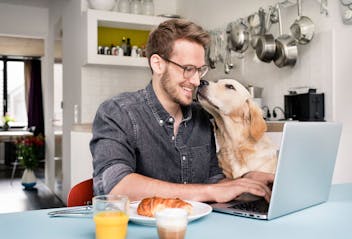 pet assistance pet assistance