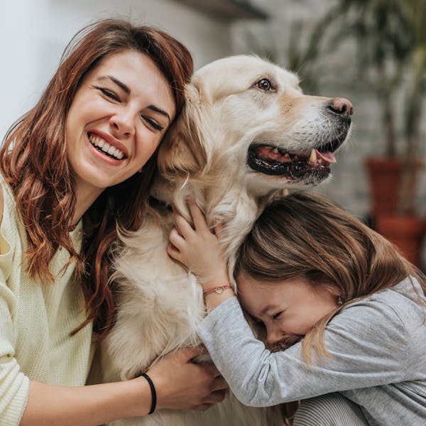 instant support and seamless service integration for immediate assistance instant support and seamless service integration for immediate assistance