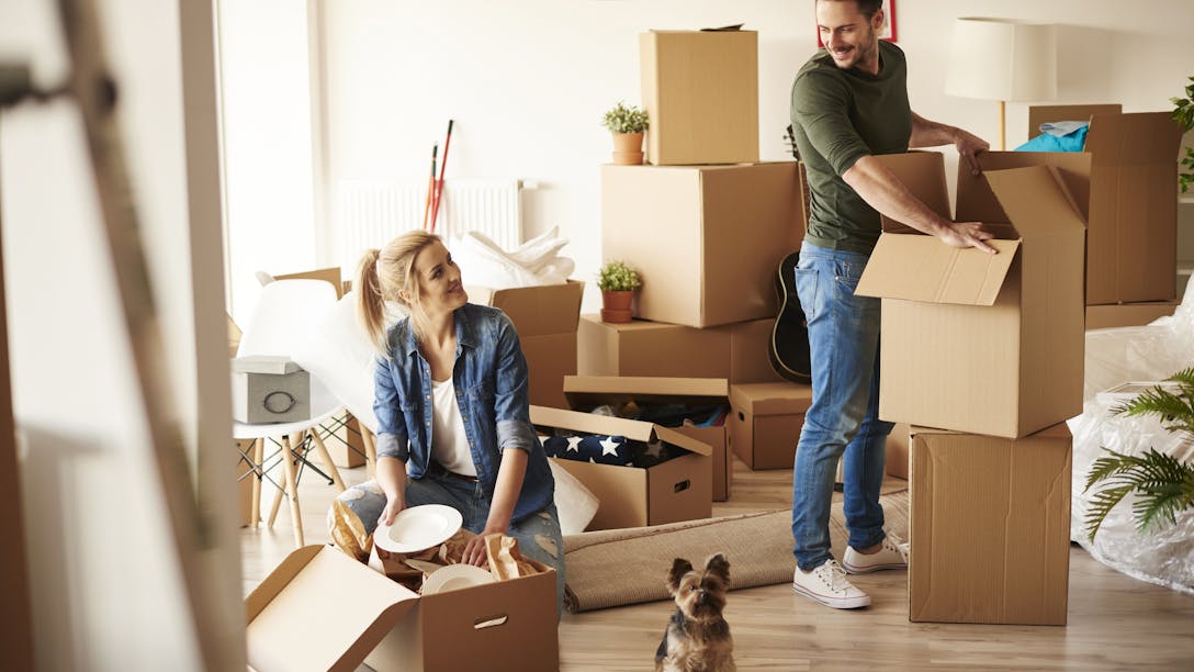 credit & lifestyle protection credit & lifestyle protection