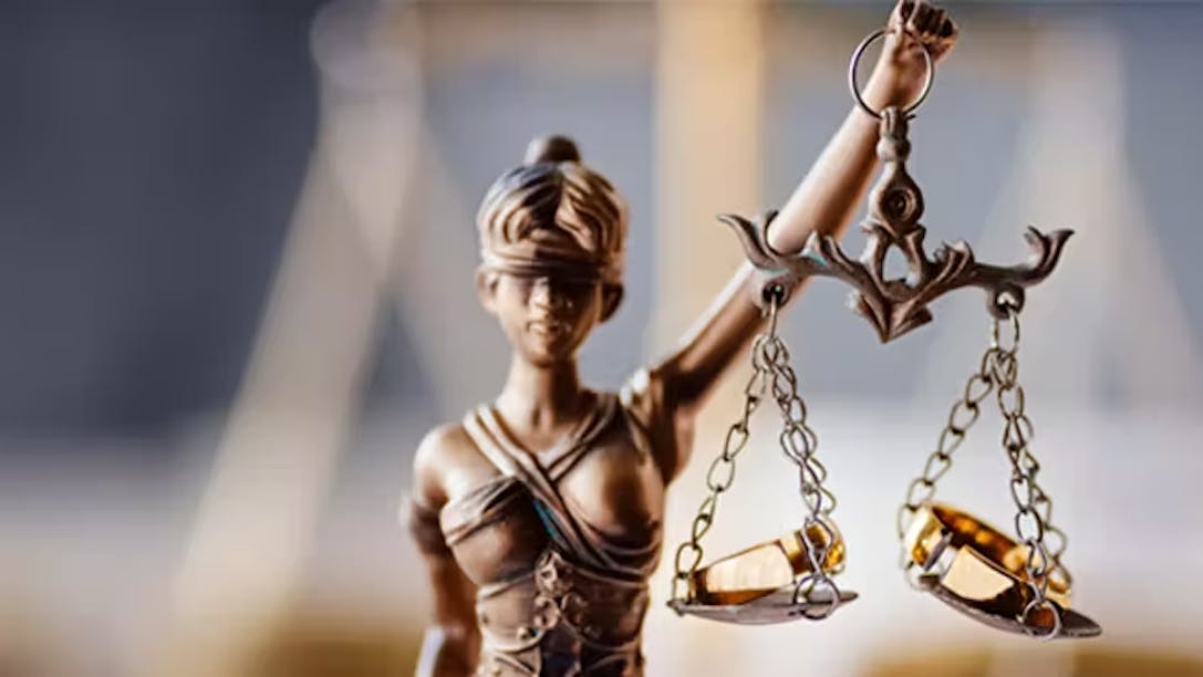 7. your rights 7. your rights