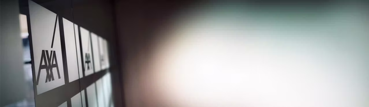 11. axa partners company details