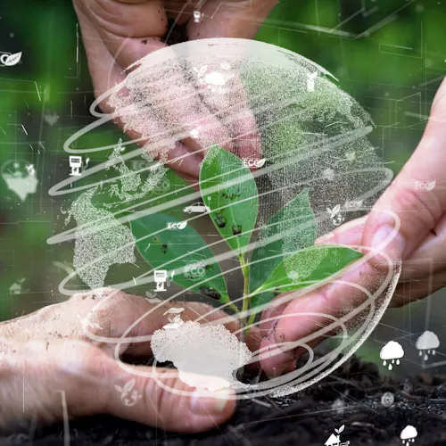 virtual image of a globe around a green plant, cared by 3 human hands virtual image of a globe around a green plant, cared by 3 human hands