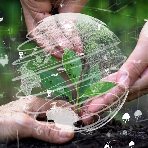 virtual image of a globe around a green plant, cared by 3 human hands virtual image of a globe around a green plant, cared by 3 human hands