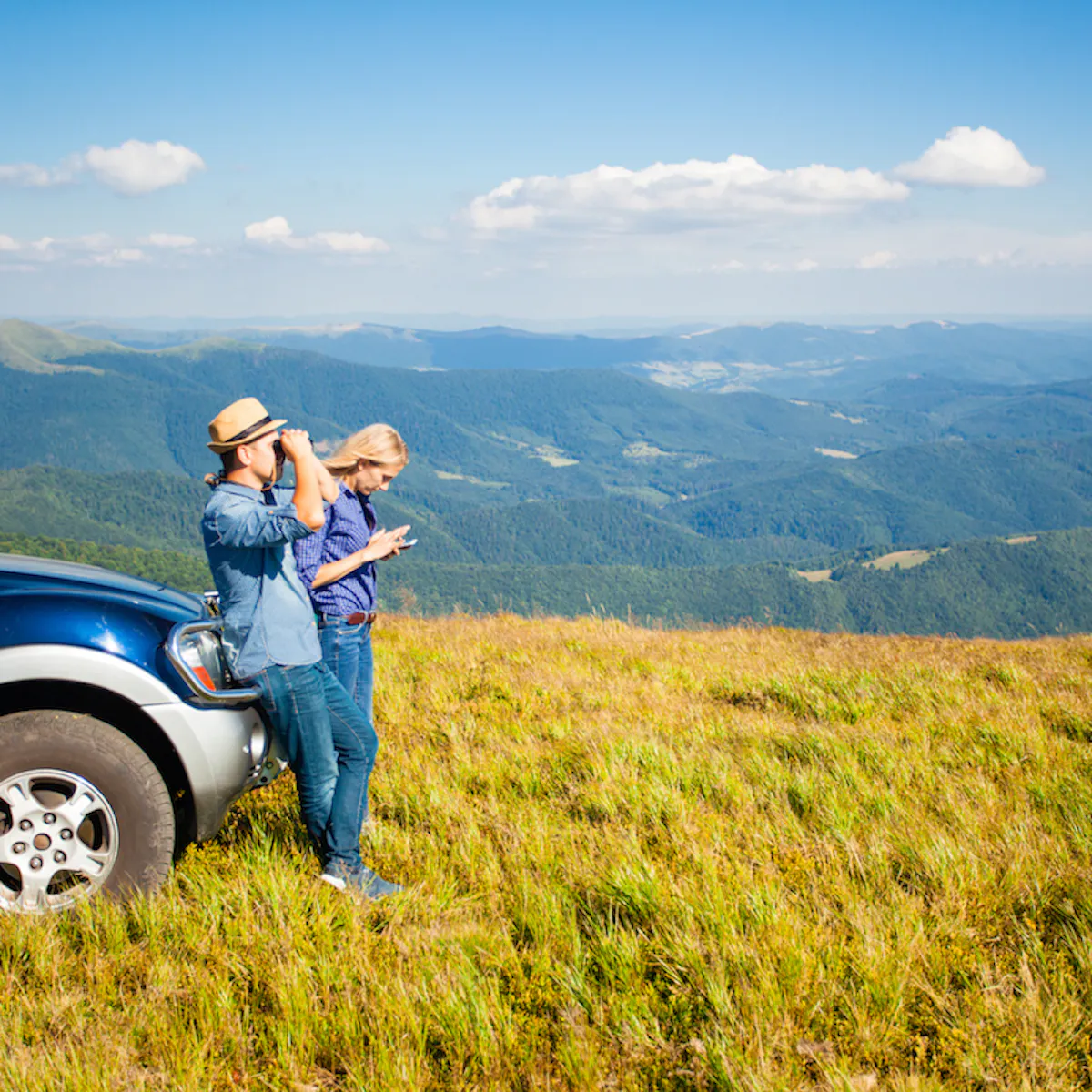 ing lion assistance, online travel insurance and personal assistance