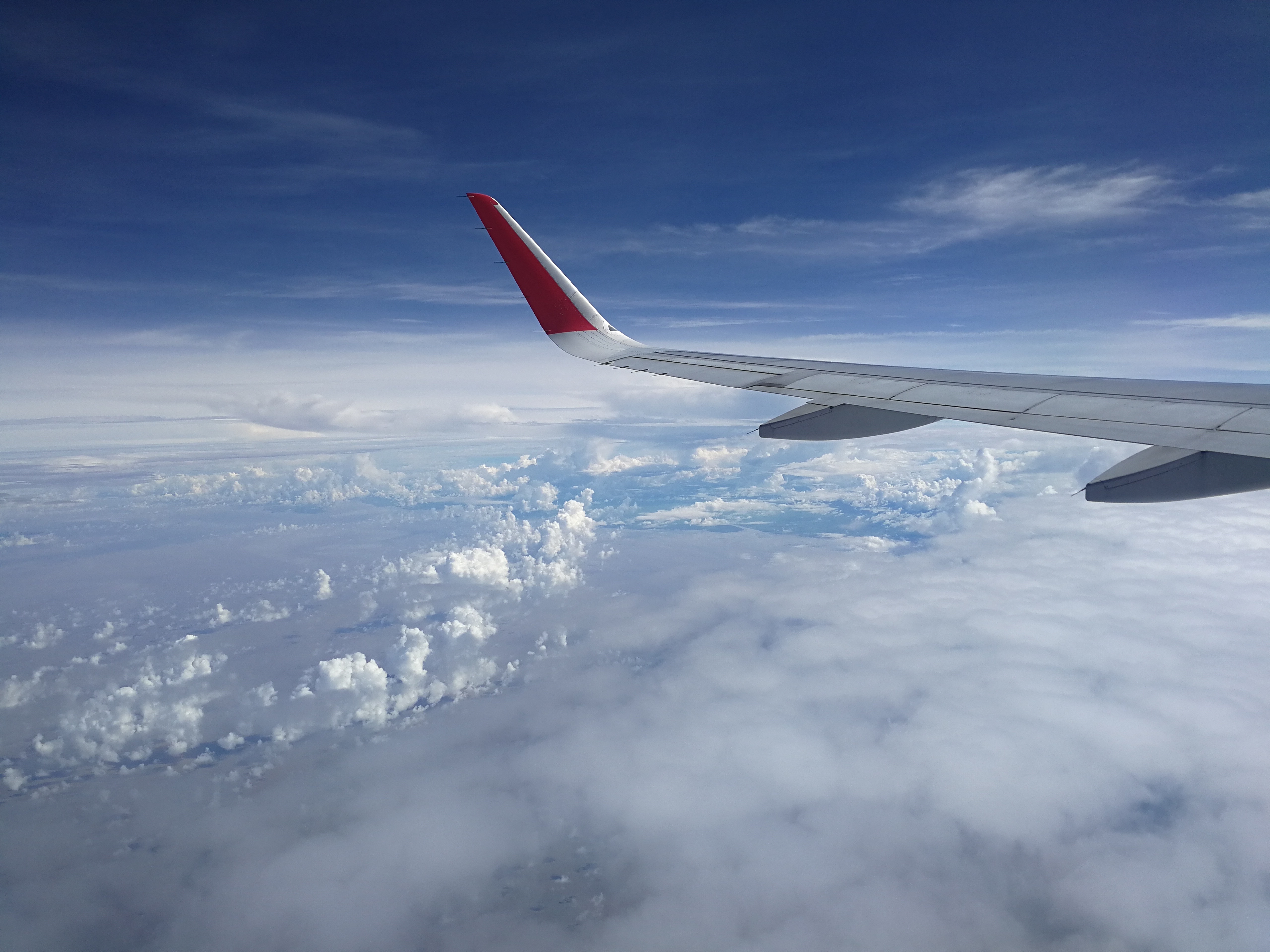 come avviene un rimpatrio sanitario?
immagini reali nel video