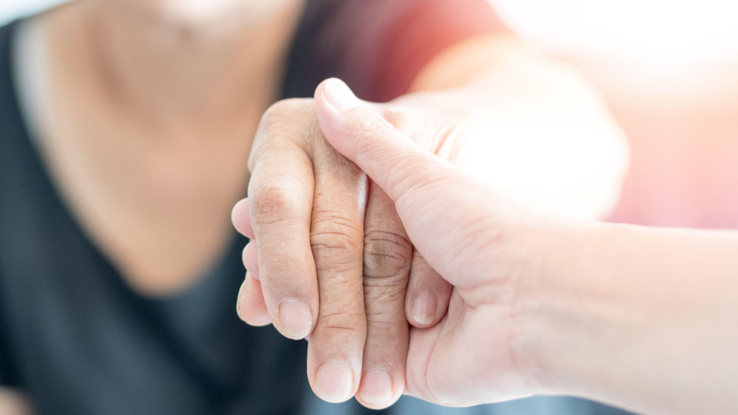 axa partners colabora con la comunidad de san egidio un año más