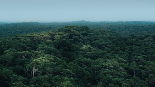 axa cr-week 2020 - interview mit alexander hoffmann axa cr-week 2020 - interview mit alexander hoffmann