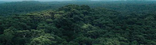 axa partners axa partners