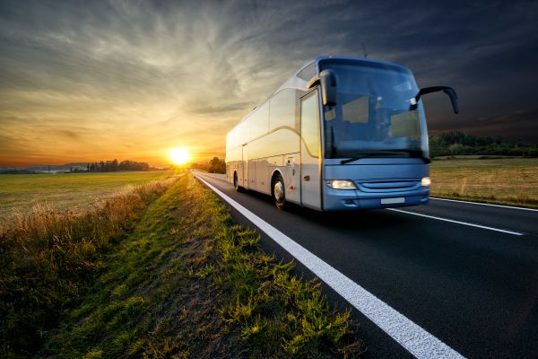 Assistance and breakdown services for coaches​