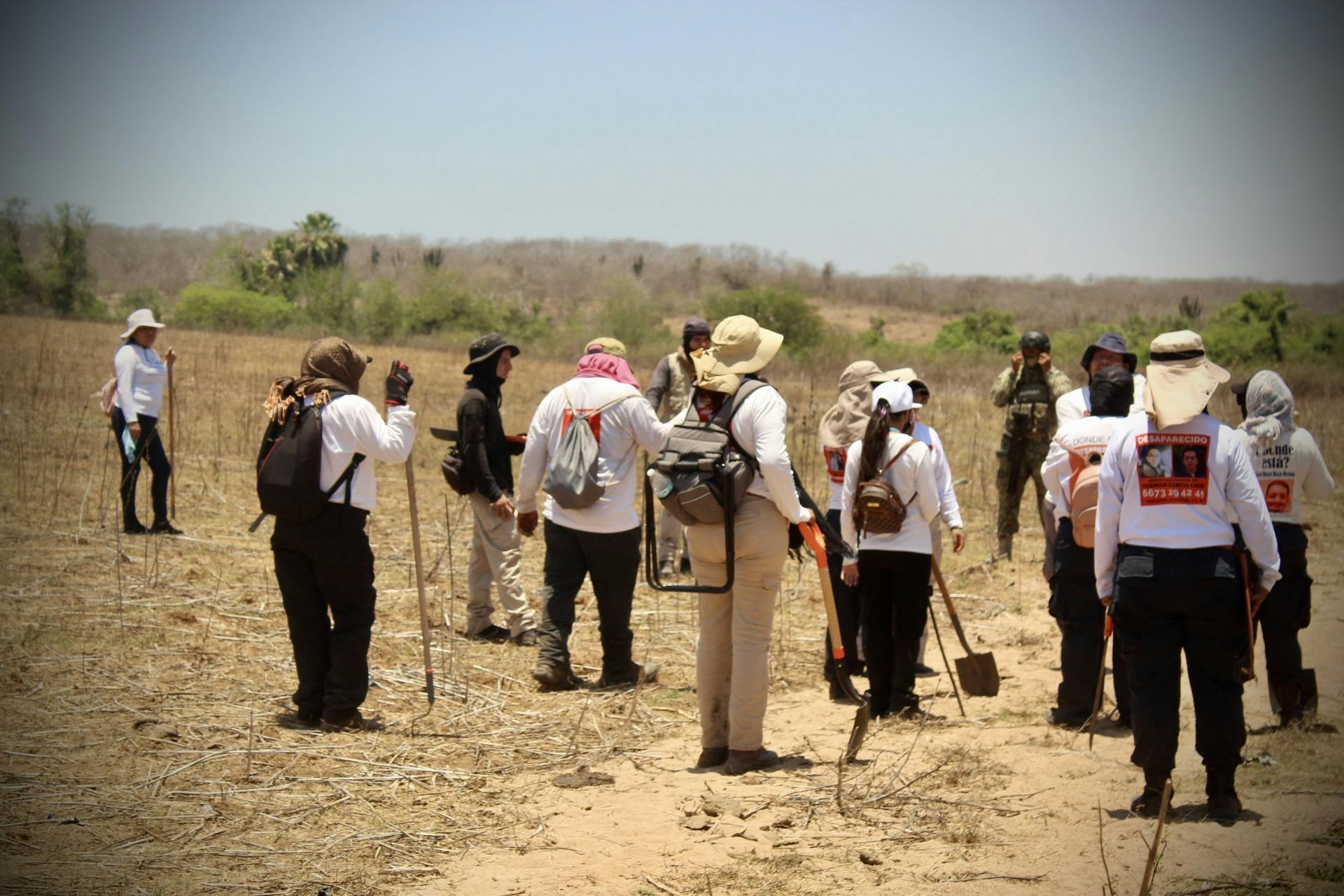El páramo desolado.