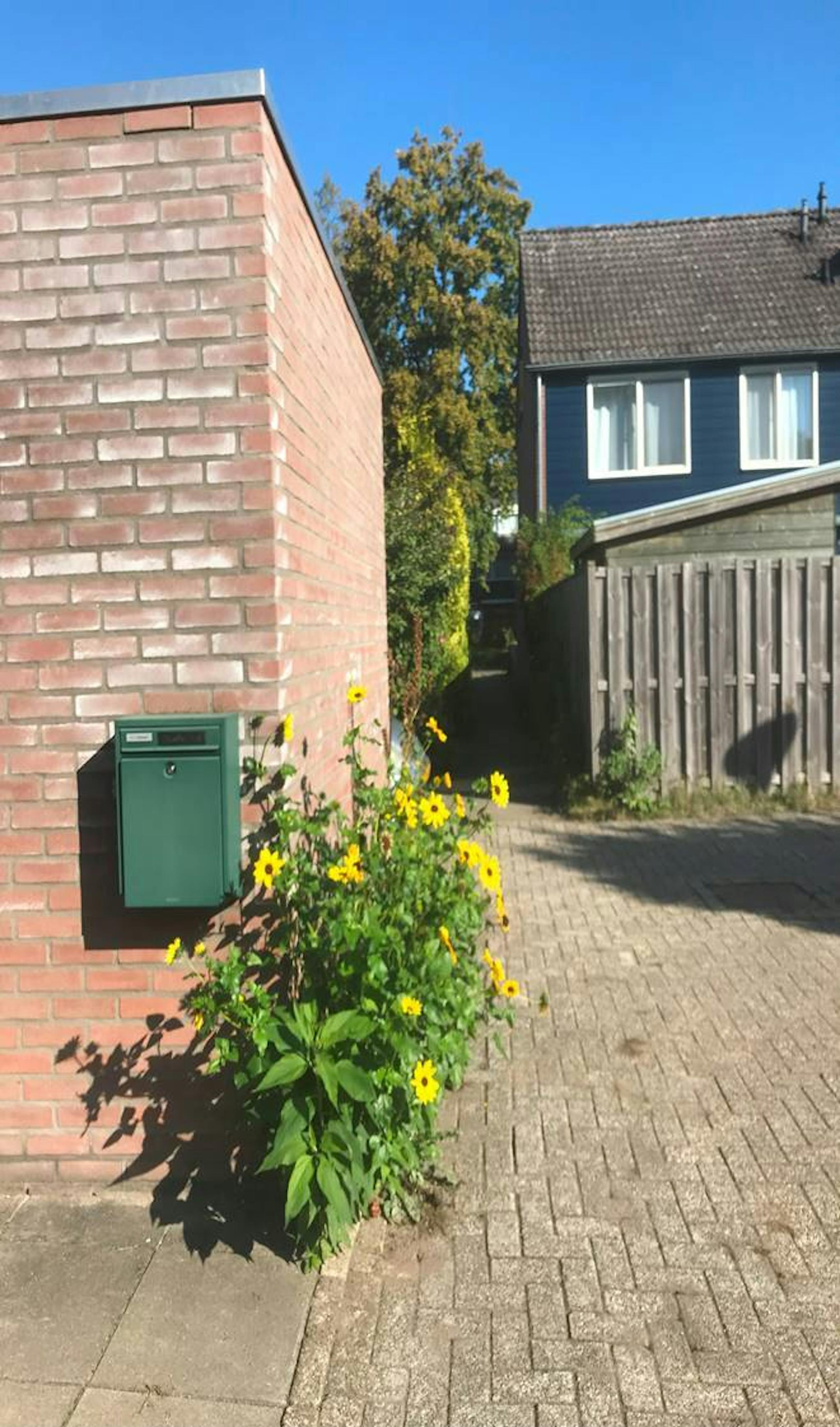 Planten in de wijk