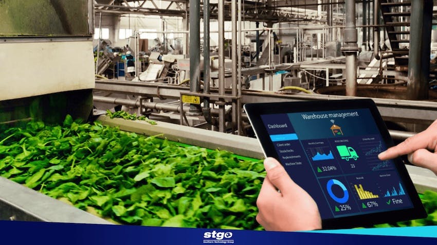 WMS Y TRAZABILIDAD: LA CLAVE PARA UNA INDUSTRIA ALIMENTARIA MÁS EFICIENTE Y SOSTENIBLE