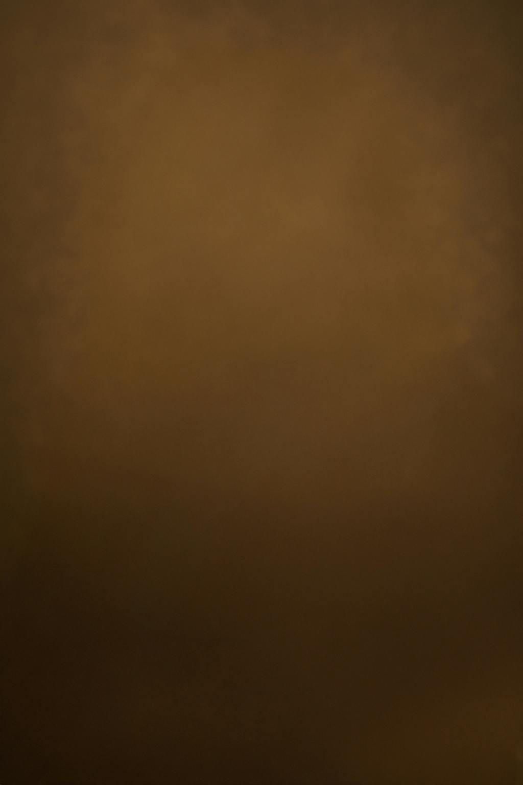 Able Girl Plumbing Staff Picture