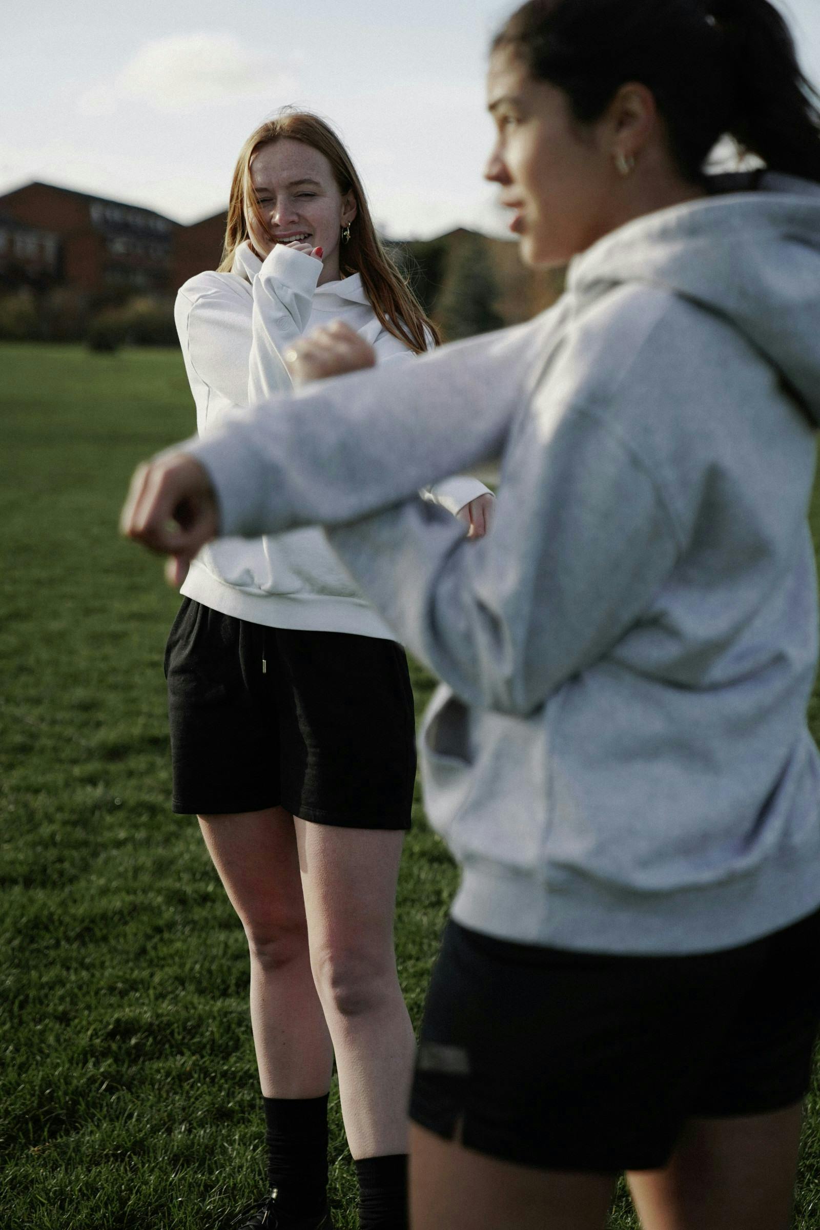 Accordion section image