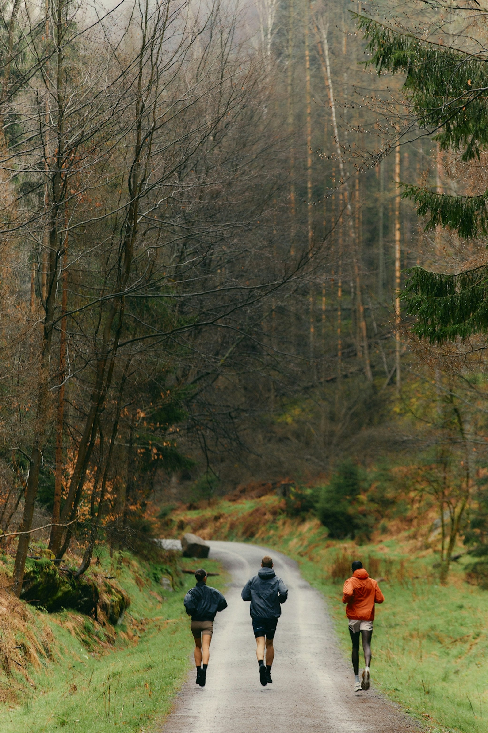 Trail runners training on forest path in nature - outdoor fitness and running program